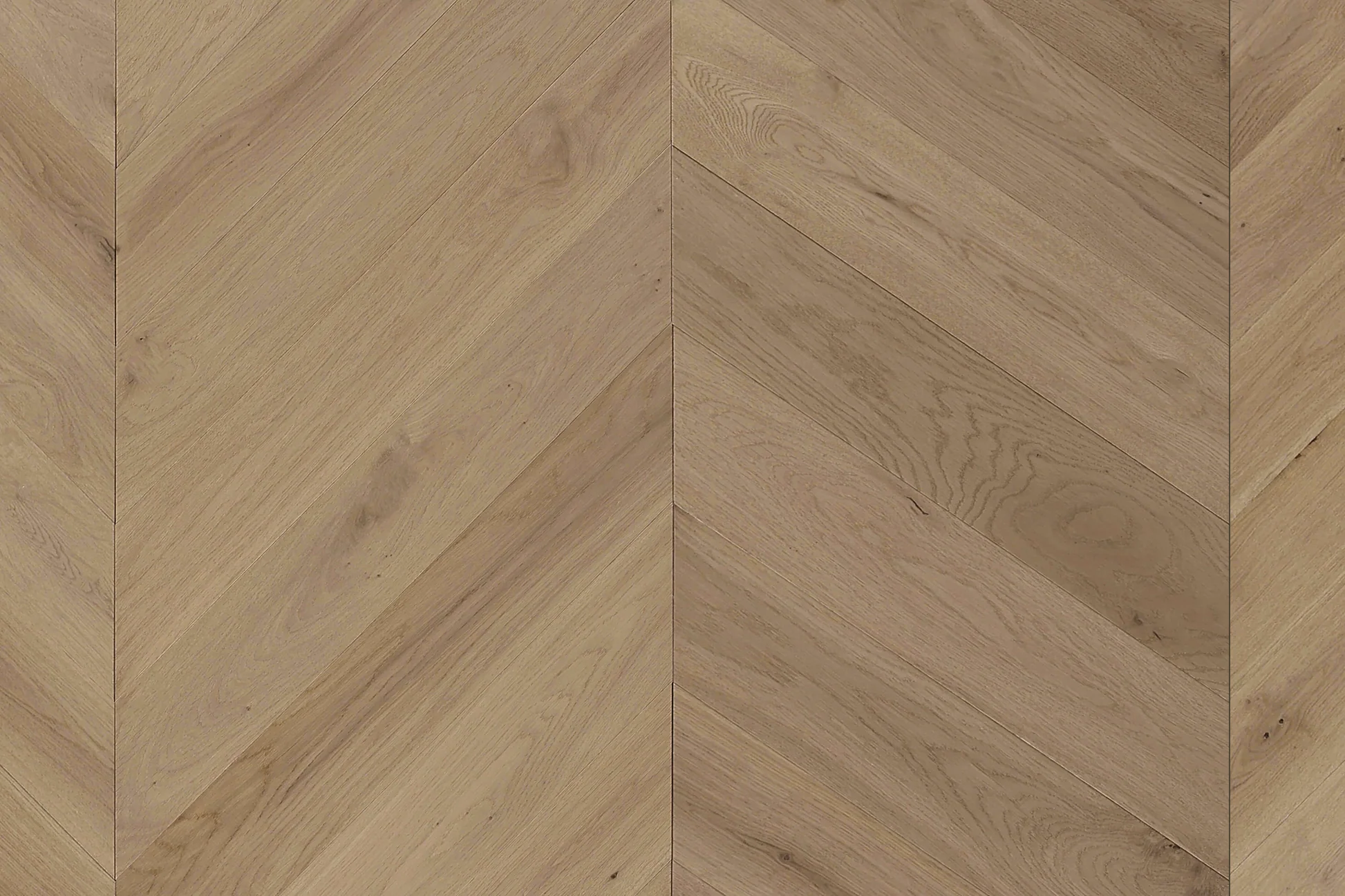 Cavallo Bianco Chevron 14/3mm - Top Deck