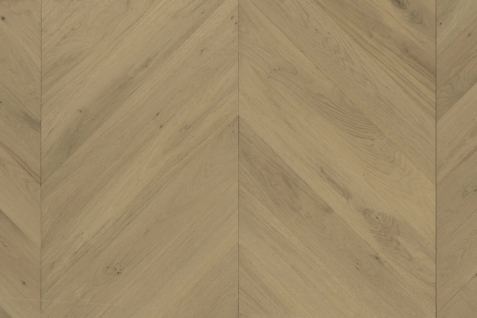 Cavallo Bianco Chevron 14/3mm - Top Deck