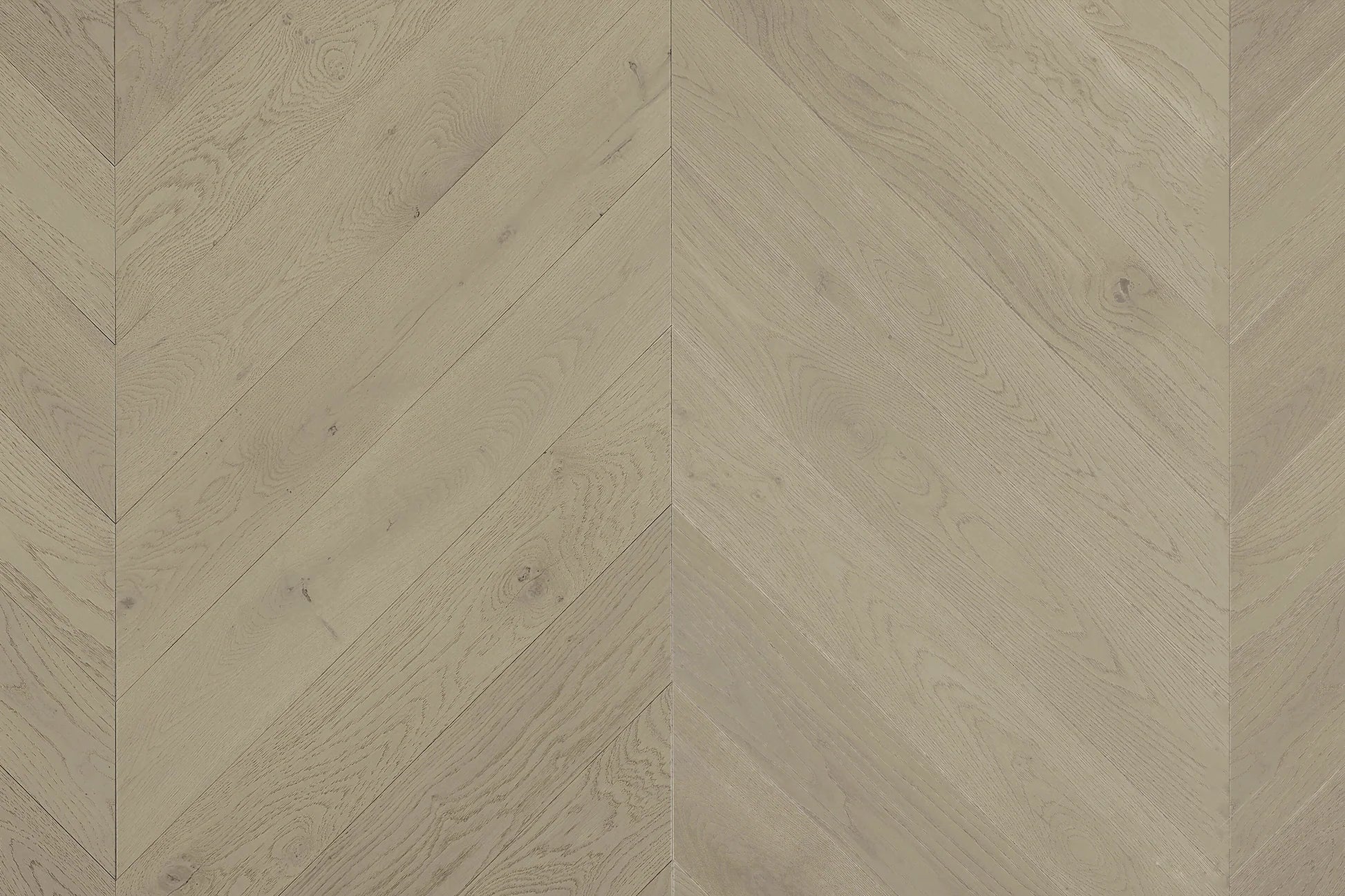 Cavallo Bianco Chevron 14/3mm - Top Deck