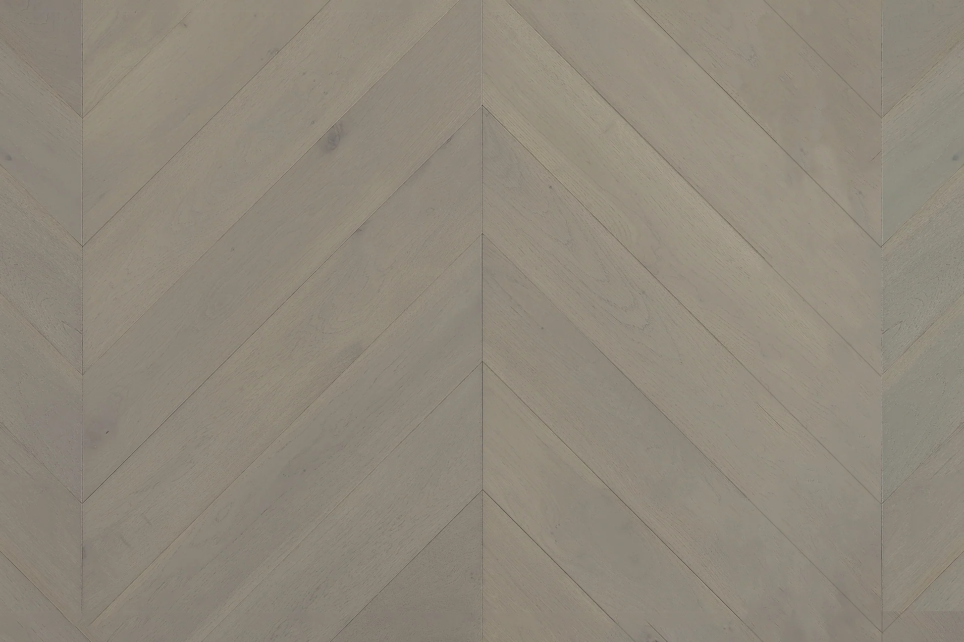 Cavallo Bianco Chevron 14/3mm - Top Deck