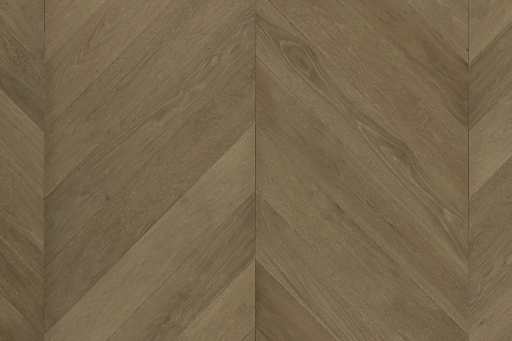 Cavallo Bianco Chevron 14/3mm - Top Deck