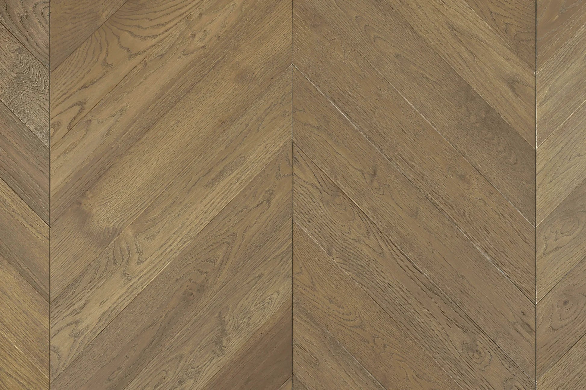 Cavallo Bianco Chevron 14/3mm - Top Deck