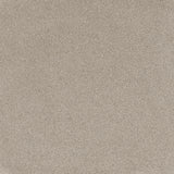 Coco Bliss Carpet Flooring