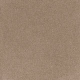 Coco Bliss Carpet Flooring