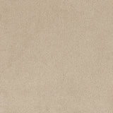 Coco Bliss Carpet Flooring