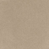 Coco Bliss Carpet Flooring