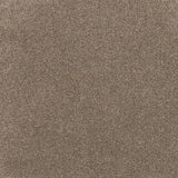 Comfort Touch Carpet Flooring