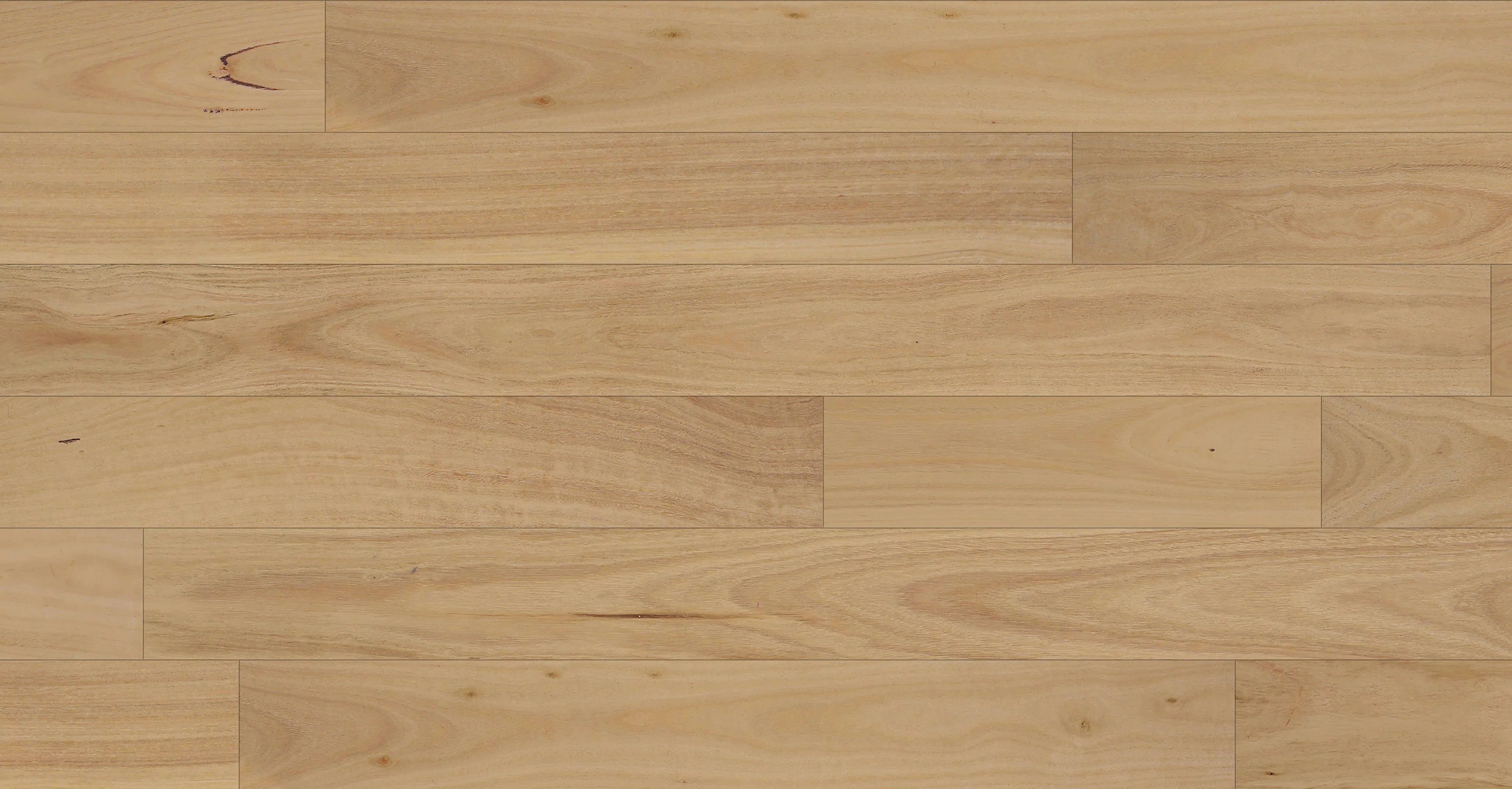 Daintree Engineered Timber Flooring 15/2mm