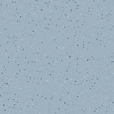 Natralis® Foothold Vinyl Sheet Flooring-R10