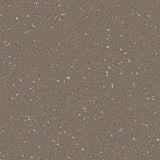 Natralis® Foothold Vinyl Sheet Flooring-R10
