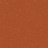 Natralis® Foothold Vinyl Sheet Flooring-R10