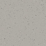 Natralis® Foothold Vinyl Sheet Flooring-R10