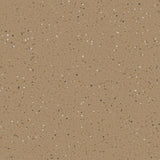 Natralis® Foothold Vinyl Sheet Flooring-R10