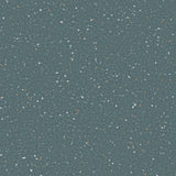 Natralis® Foothold Vinyl Sheet Flooring-R10