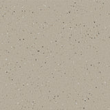 Natralis® Foothold Vinyl Sheet Flooring-R10