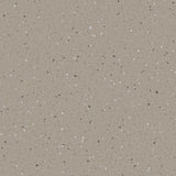 Natralis® Foothold Vinyl Sheet Flooring-R10