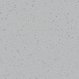 Natralis® Foothold Vinyl Sheet Flooring-R10