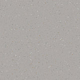 Natralis® Foothold Vinyl Sheet Flooring-R10