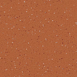 Natralis® Foothold Vinyl Sheet Flooring-R10