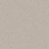 Natralis® Foothold Vinyl Sheet Flooring-R10