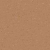 Natralis® Foothold Vinyl Sheet Flooring-R10