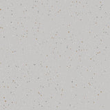 Natralis® Foothold - R11 - Vinyl Sheet Flooring