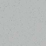 Natralis® Foothold - R11 - Vinyl Sheet Flooring