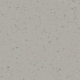 Natralis® Foothold - R11 - Vinyl Sheet Flooring