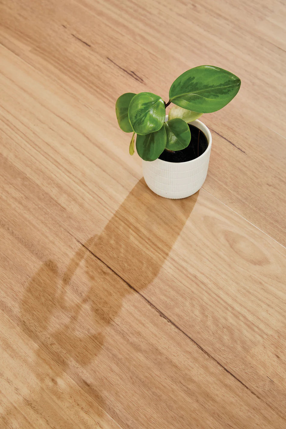 Natural-Creations-Longplank-4.5mm-1