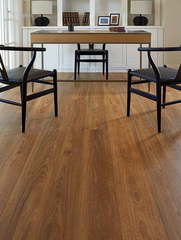 Oakleaf_Spotted_gum_1