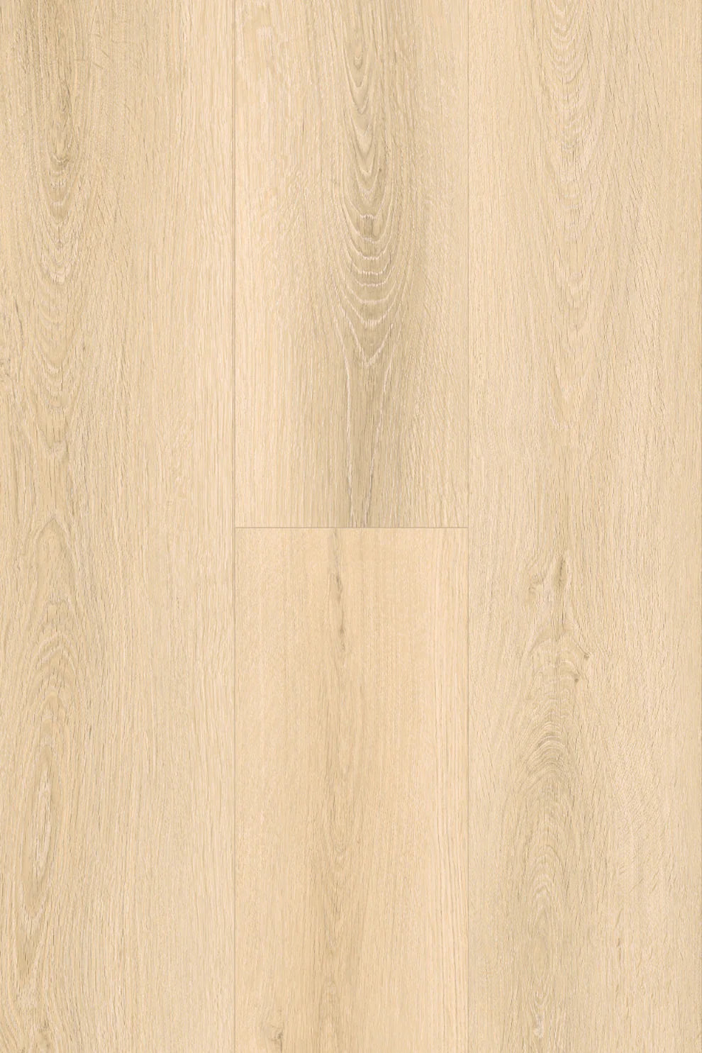 Amor Laminate Flooring 12mm