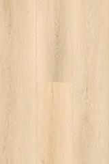 Amor Laminate Flooring 12mm