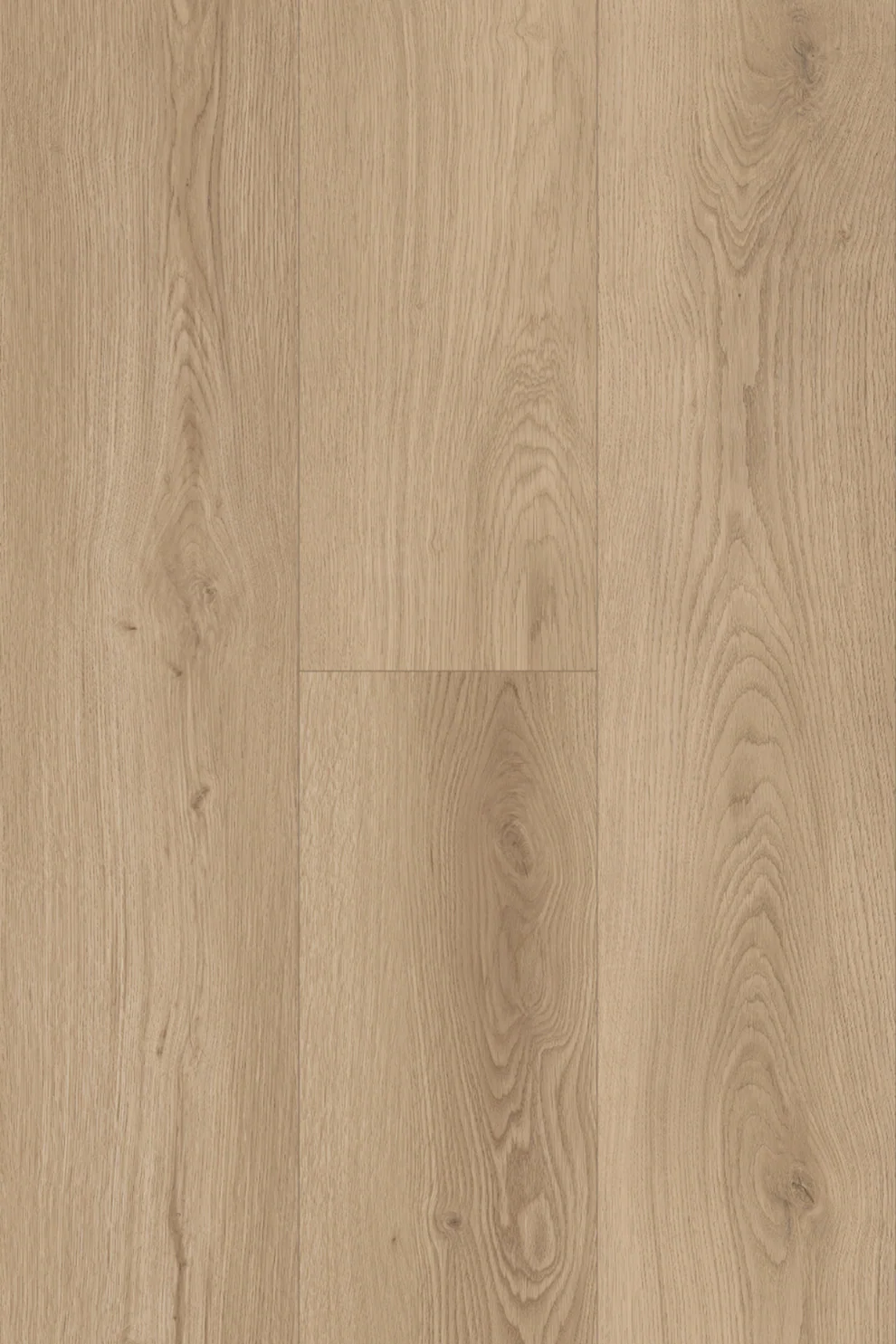 Amor Laminate Flooring 12mm