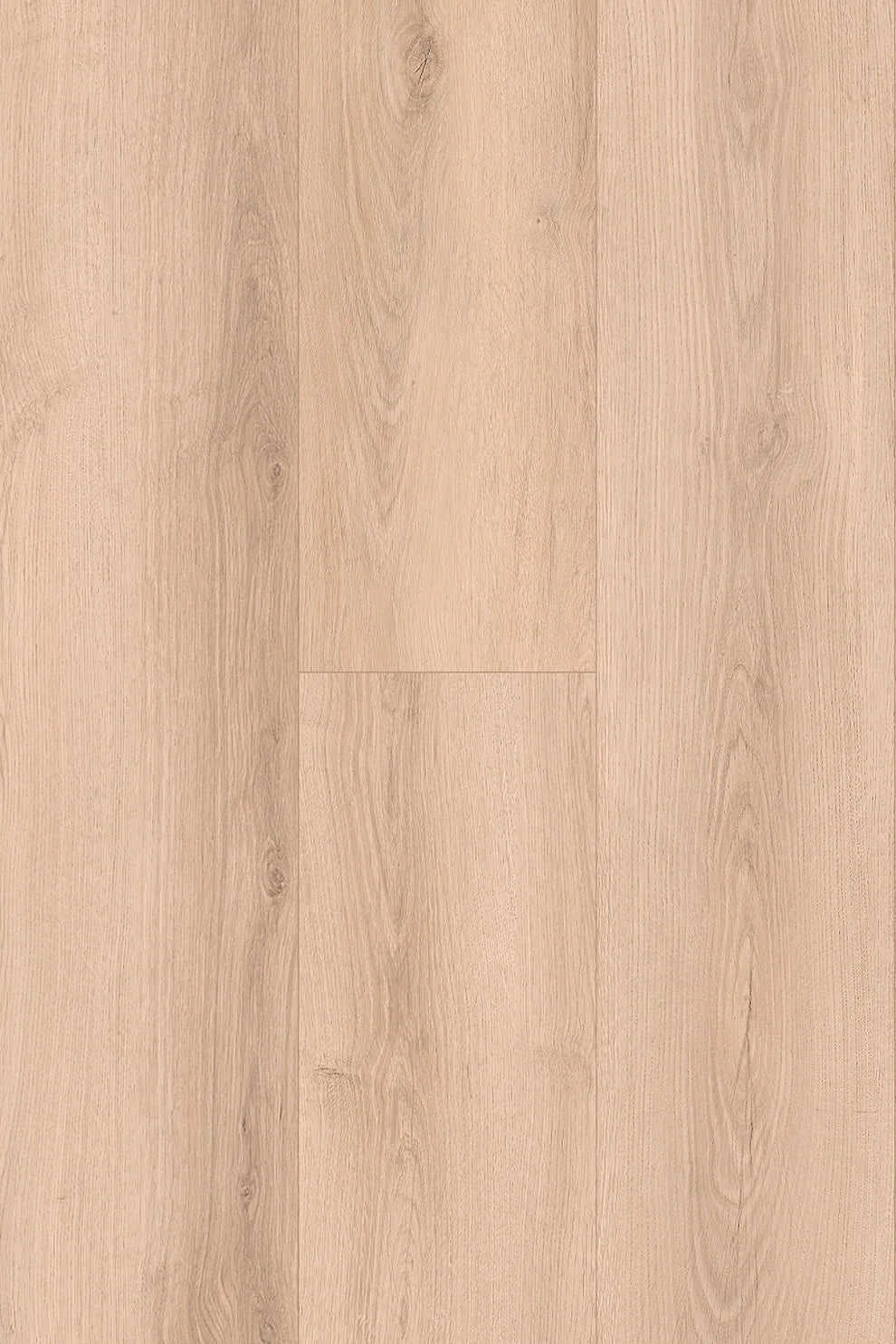 Amor Laminate Flooring 12mm