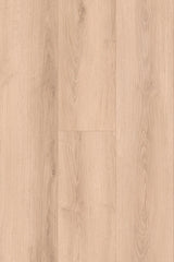 Amor Laminate Flooring 12mm