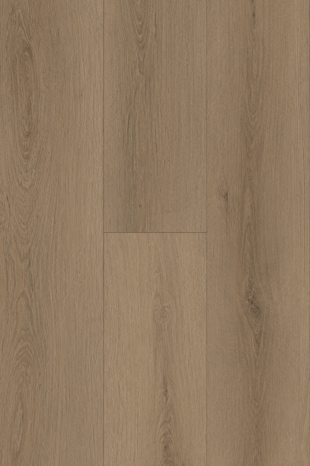 Amor Laminate Flooring 12mm
