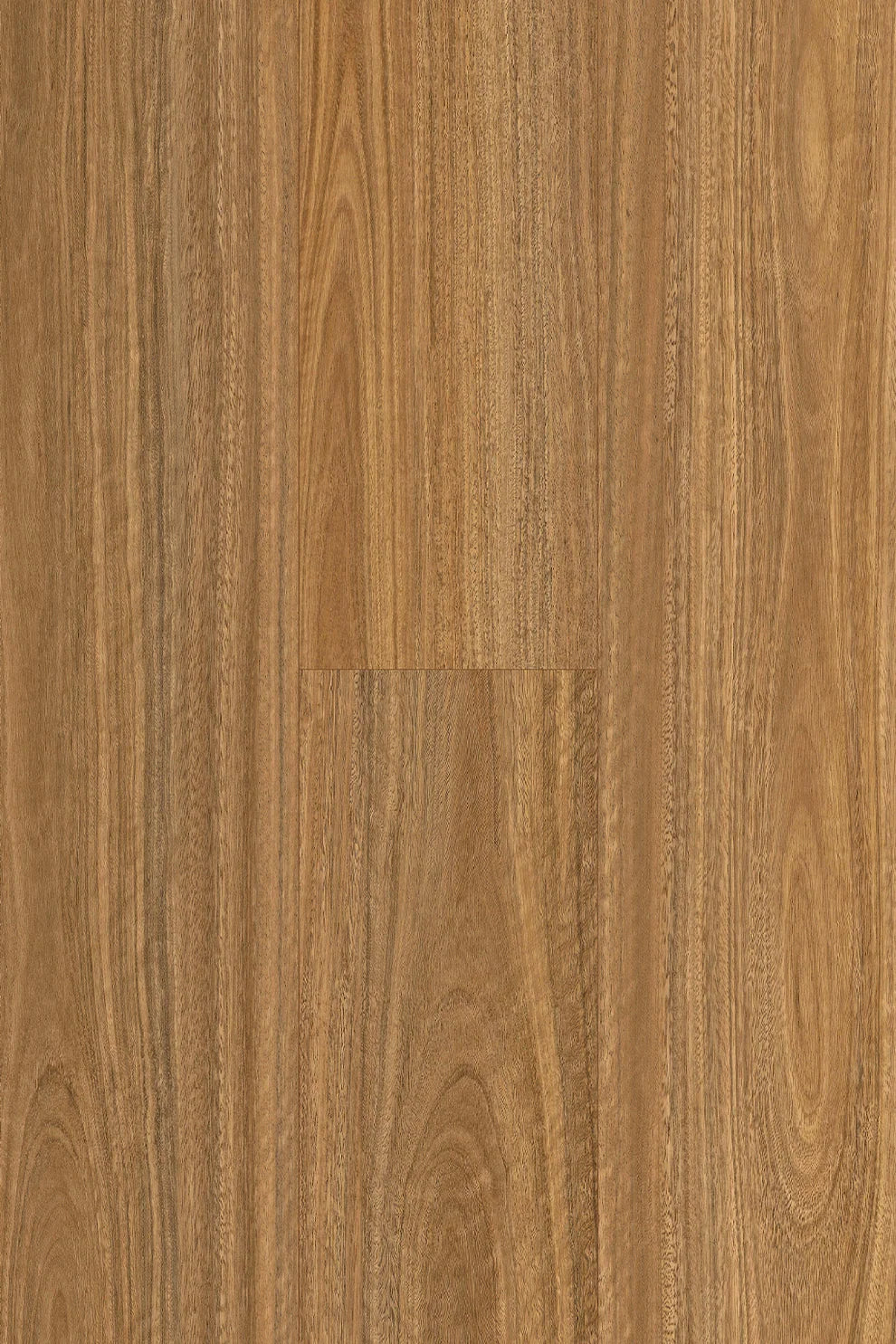 Amor Laminate Flooring 12mm