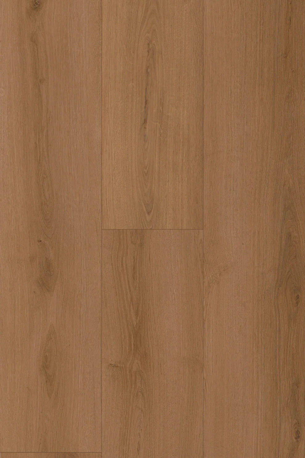 Amor Laminate Flooring 12mm