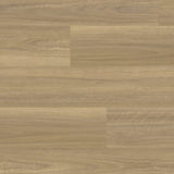 Pavimento Avanti Luxury Vinyl Plank Flooring-R10