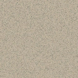 Polysafe Standard PUR Safety Vinyl Sheet Flooring R10