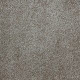 Sensation – Cashmere Touch Carpet Flooring
