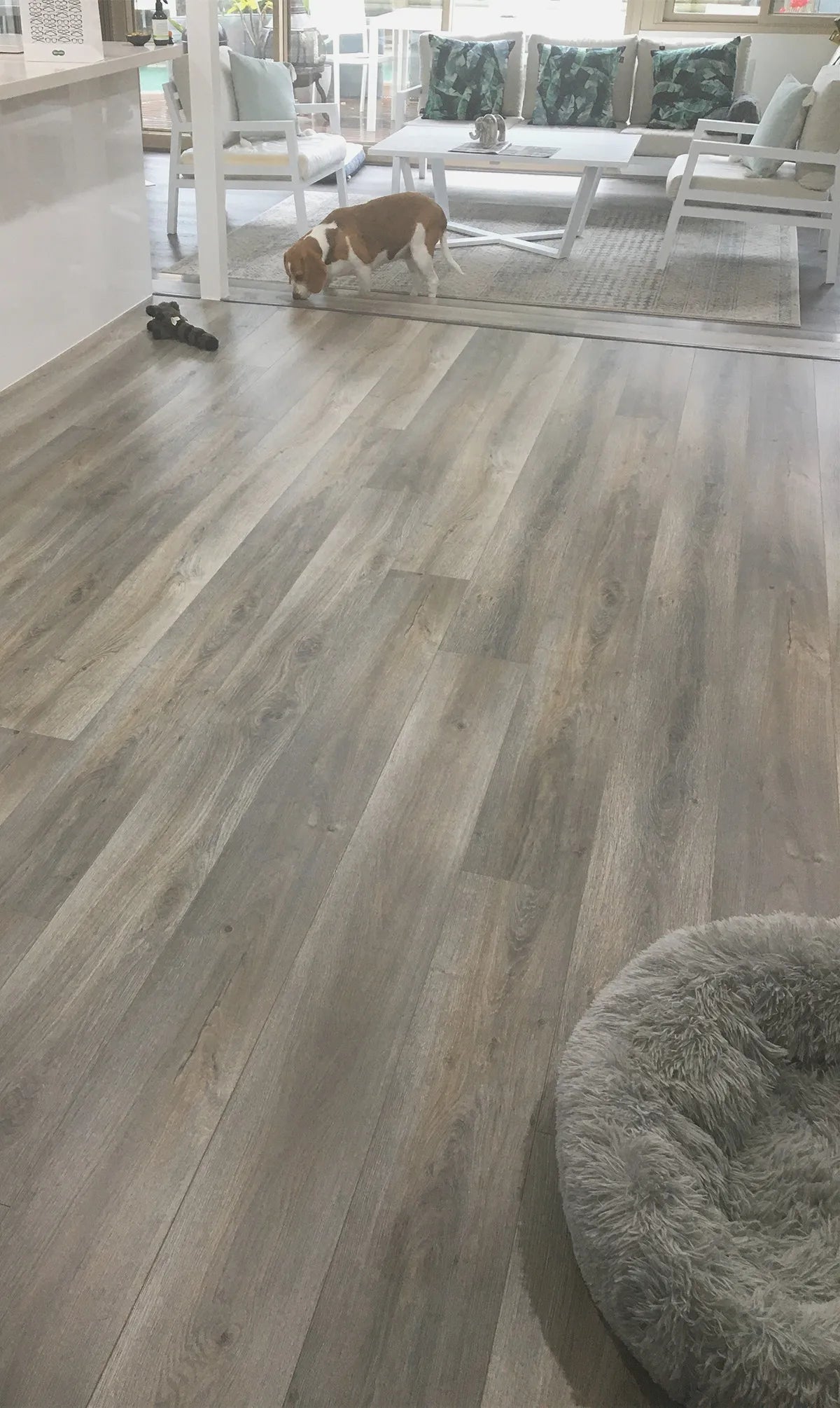 Swish-Aqua-AC5-Colour-Oak-Colonial-Room