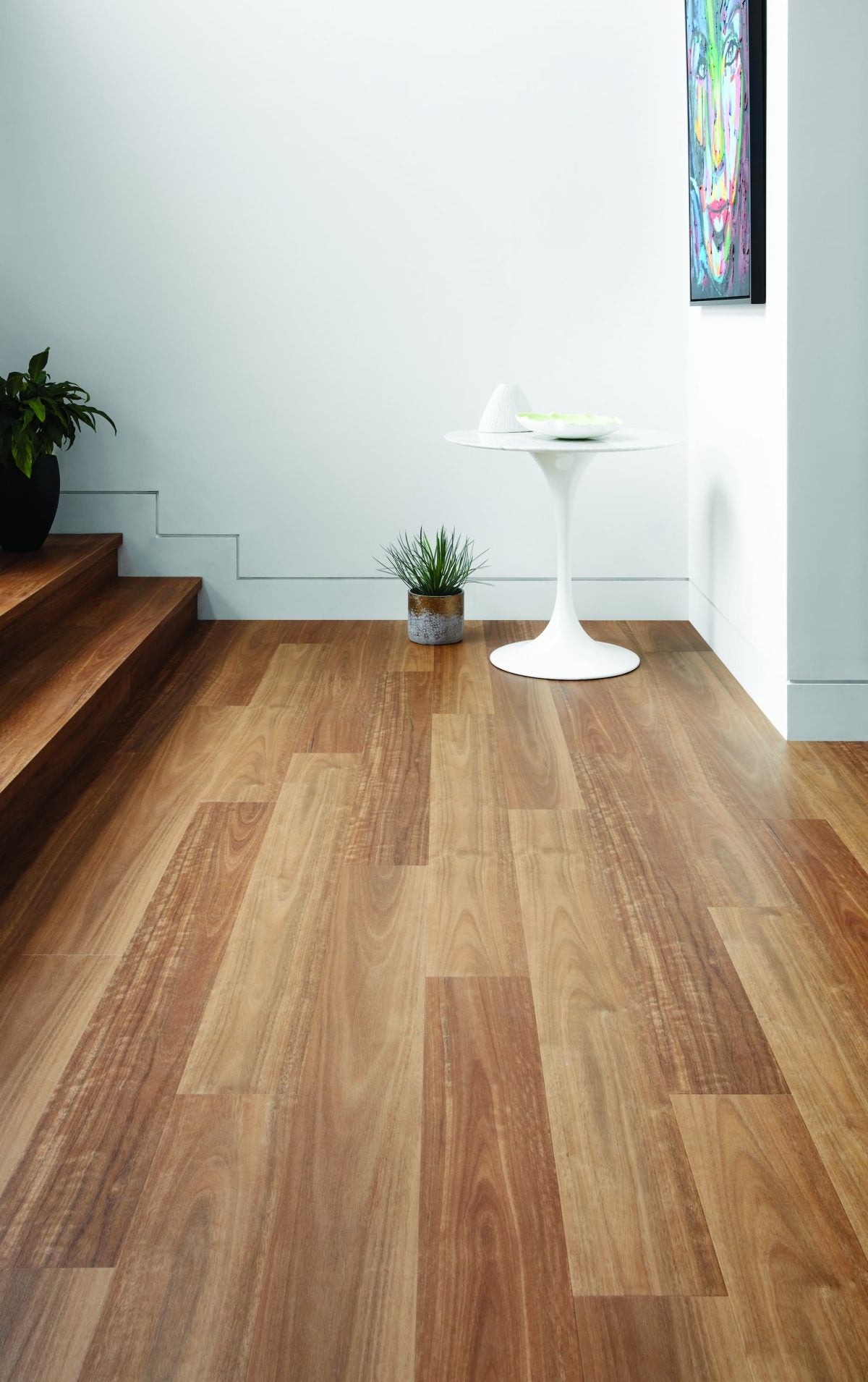 Ultimo-4.5mm-Colour-Spotted-Gum
