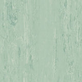 XL-PU-Vinyl Flooring-R9