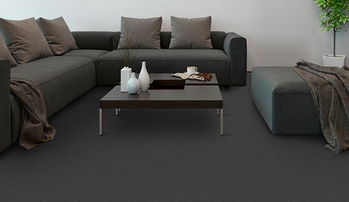 image presents Special Price Commercial Carpet supply and installation company in Sydney