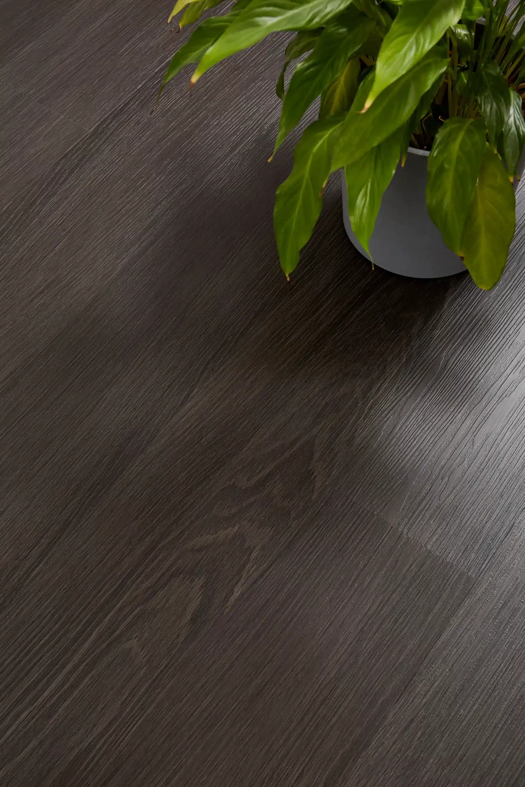 Aspirations-Vinyl Plank Flooring-4mm